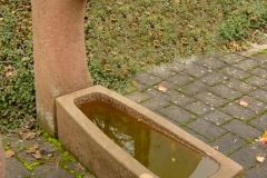 Dsc00037-1