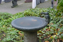 Vogeltränke 1